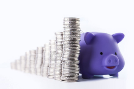 金融概念家庭储蓄账户和小猪银行图片