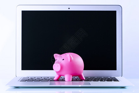 金融概念家庭储蓄账户和小猪银行图片