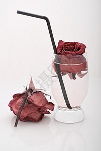 玻璃杯中枯的红玫瑰美死花图片