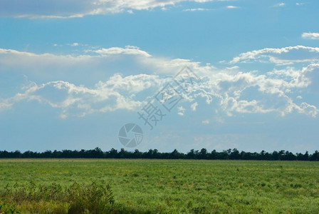 蓝天白云下的绿色草原图片