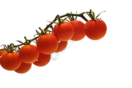 蔬菜番茄图片