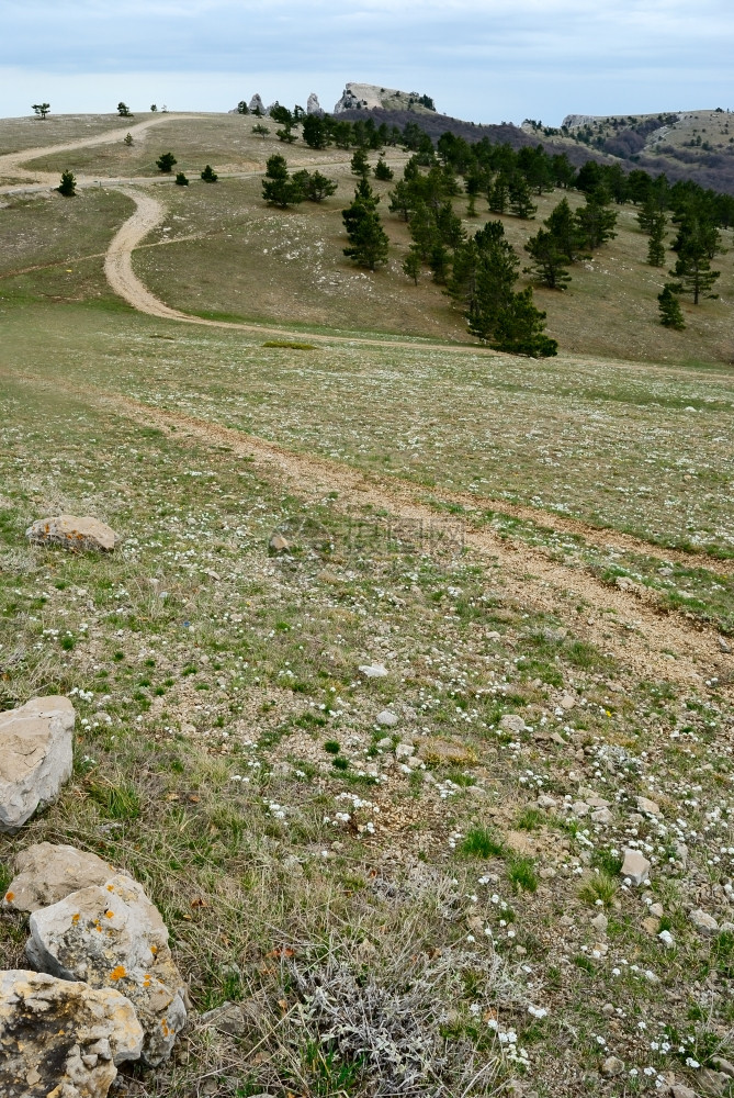 具有道路的山地景观图片