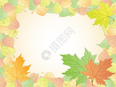 秋叶框架矢量背景图片