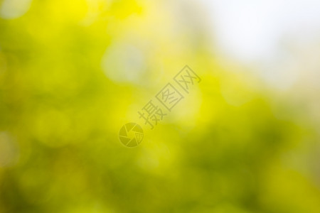 抽象自然绿色黄背景bok图片