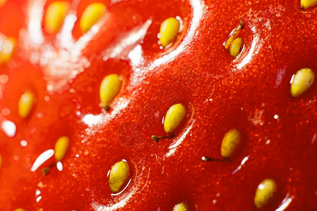 美丽多汁成熟的草莓水果背景图片