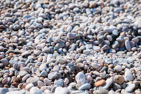 海藻卵石美丽的背景海岸图片