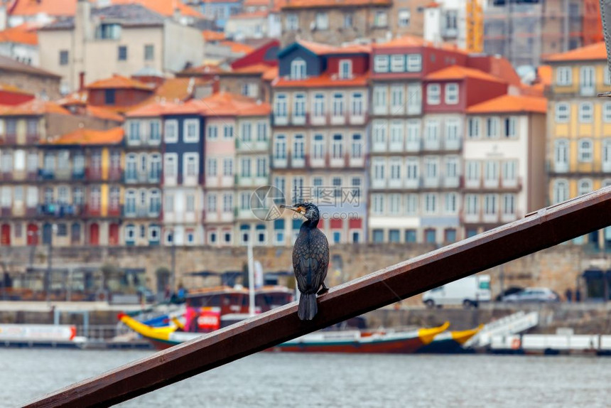葡萄牙波尔图历史古迹的老码头和建筑物图片