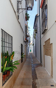 科尔多瓦旧的狭窄城市街道西班牙科尔多瓦有西班牙传统建筑的狭小街道安达卢西亚背景图片