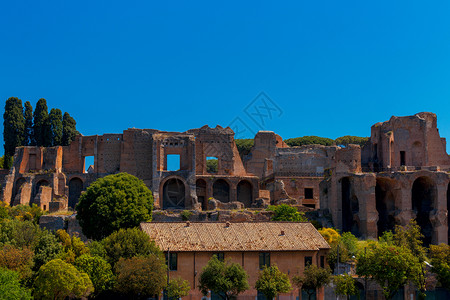 罗马帕拉廷山的废墟在阳光明媚的日子里意大利背景图片