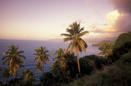 莱因斯特科摩罗大陆非洲印度洋昂儒岛科摩罗儒莫亚村海岸的景观背景