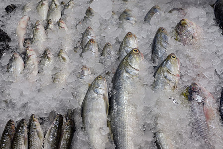 在泰国南部东亚的普吉岛市日鲜鱼场xA图片
