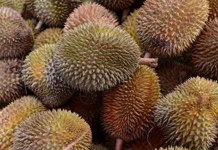 泰国南部东亚普吉岛市日Durian水果市场xA高清图片