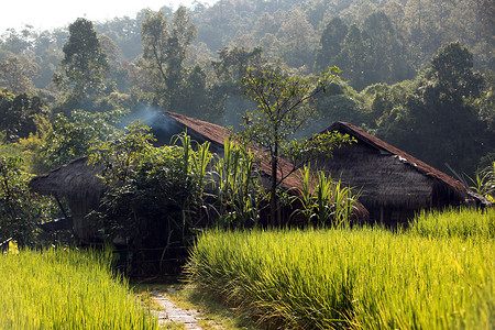 阿卡族在泰国北部的东南亚省Chiangmai北部清道村附近的Lahu或Lisu少数民族的农村背景
