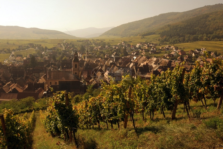 欧洲法兰西阿尔萨斯省欧洲Riquewihr村的olt镇图片