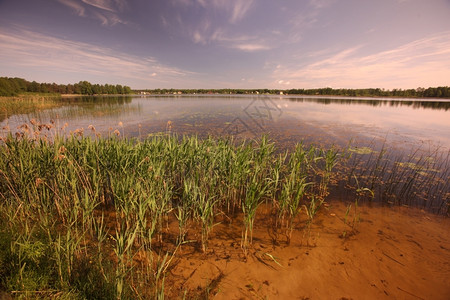 伯克豪斯沼泽维尔纽斯以南的德鲁金尼凯镇和波罗的海立陶宛附近的一个冰河湖背景