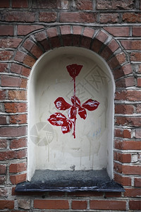 在立陶宛波罗的海古城维尔纽斯镇的红玫瑰图片
