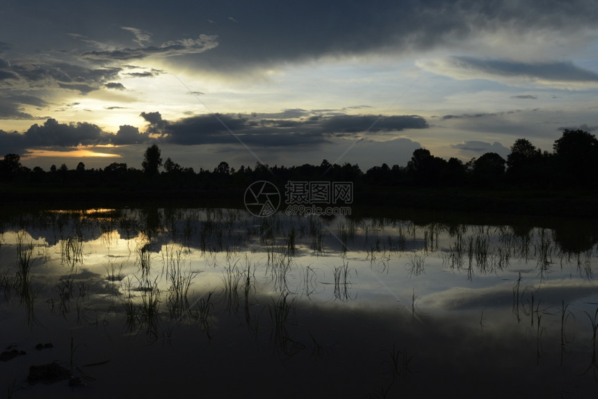 位于泰国东北部伊桑地区乌邦拉契塔尼西北部的安纳特查伦省安纳特查伦市附近的稻田景观图片