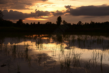 位于泰国东北部伊桑地区乌邦拉契塔尼西北部的安纳特查伦省安纳特查伦市附近的稻田景观背景图片