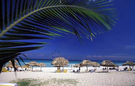 加勒比海古巴瓦拉德罗海岸的海滩美洲古巴瓦拉德罗海滩高清图片