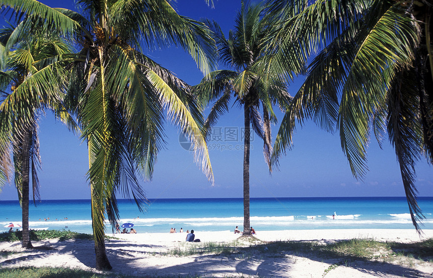 加勒比海古巴瓦拉德罗海岸的海滩美洲古巴瓦拉德罗海滩图片