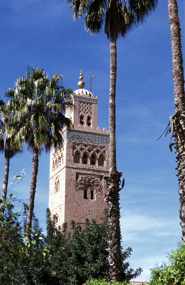 北非摩洛哥老城马拉喀什的Koutoubia清真寺图片