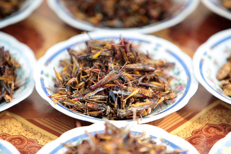 苏特斯塔西亚老挝万象市传统场的一个油炸昆虫图片