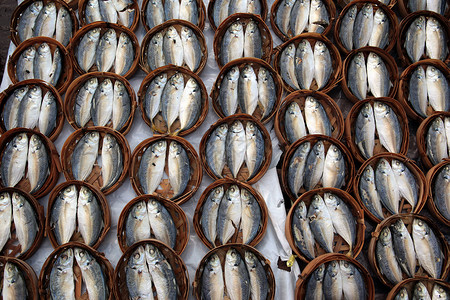塔拉特在苏特斯塔西亚老挝万象市TalatKhouadinMarkt的鱼背景