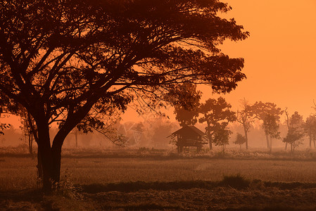 里塞菲尔德东南亚自然高清图片