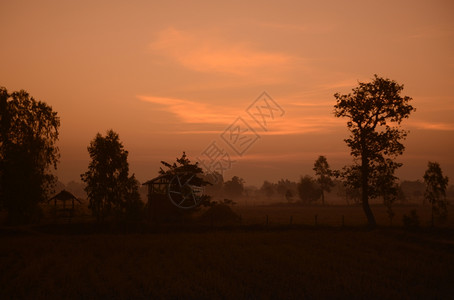 白无常谢必安在泰国东北部的伊桑地区乌本拉契塔尼西北部的安纳特查伦省一块稻田在冬天日落时在安纳特查伦市附近背景