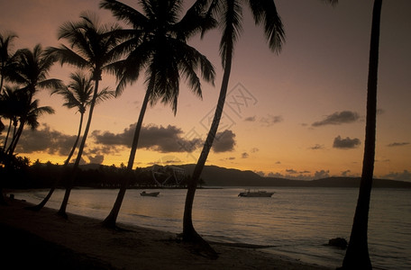 多米尼加尼斯陈a在拉丁美洲加勒比海的多米尼加萨马纳翁岛的中美洲加勒比海LasTerranas村海滩背景