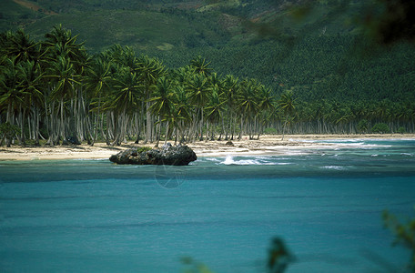 多米尼加尼斯陈a在拉丁美洲加勒比海的多米尼加萨马纳翁岛的中美洲加勒比海LasTerranas村海滩背景