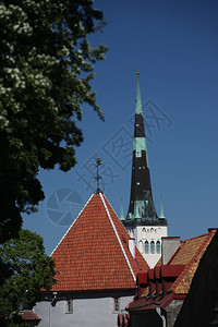 爱沙尼亚的塔林老城欧洲波罗的海爱沙尼亚的塔林高清图片