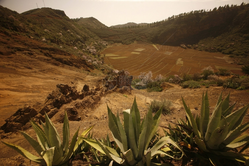 环绕大西洋中班牙加那利岛中心Tejeda山村的景观图片