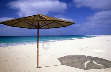 非洲太平洋大西佛得角岛萨尔SantaMaria海滩图片