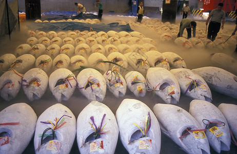 鱼羊鲜a在亚洲日本东京市Tsukiji鱼市场捕捞金xA背景