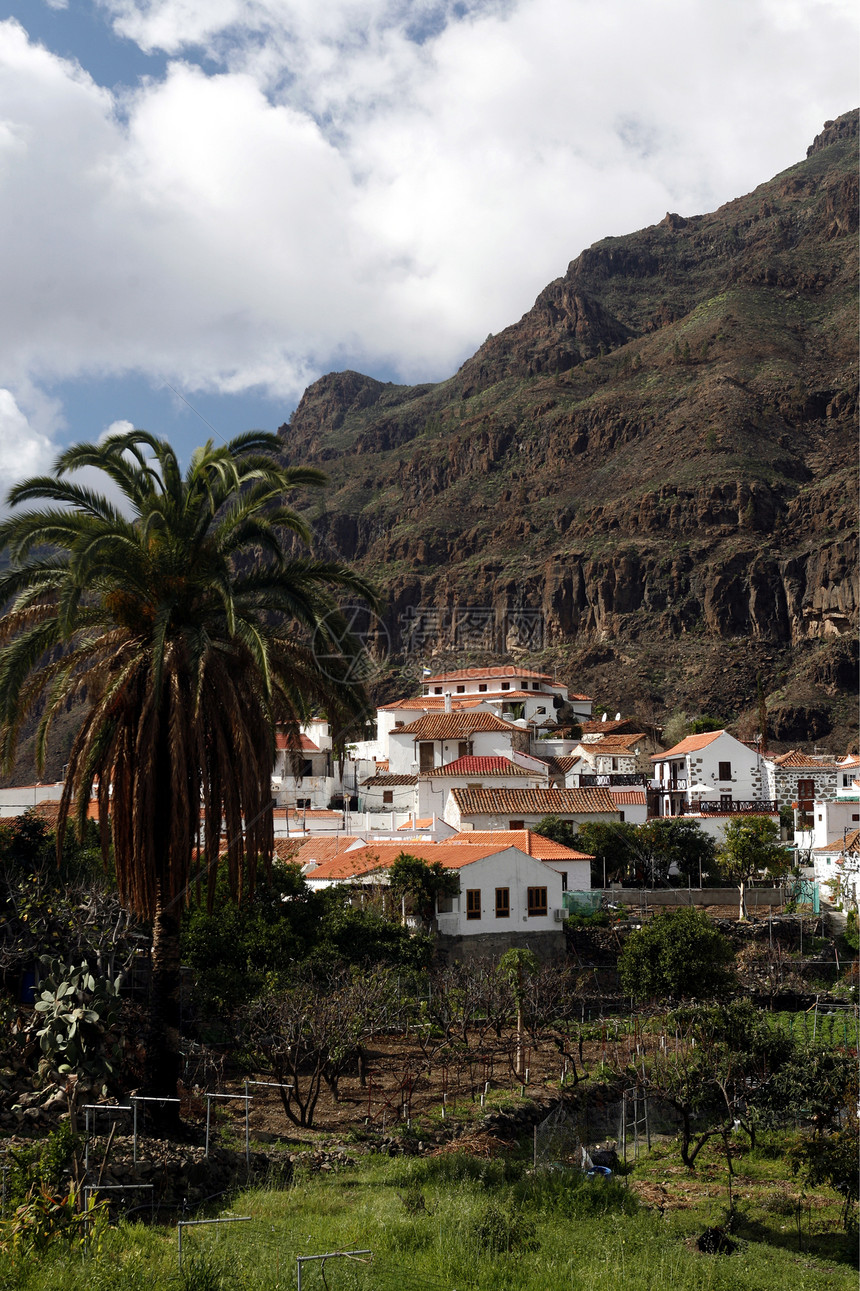 大西洋中班牙加那利岛中心的法塔加山村图片