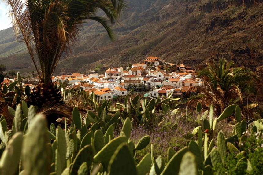 大西洋中班牙加那利岛中心的法塔加山村图片