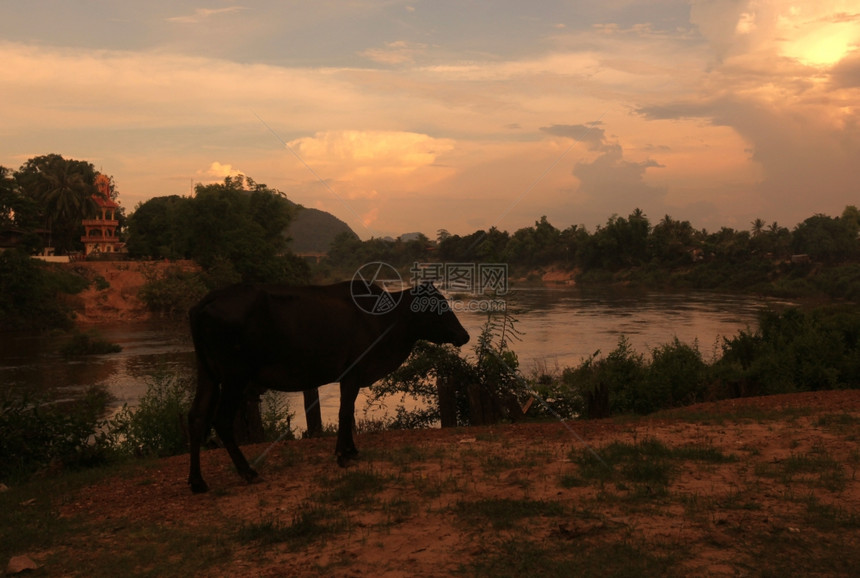 12号公路地貌的一条上奶牛12号公路上床边的ThaKhaek镇和Soutetastasia老挝省Khammuan地区中老挝的Ma图片