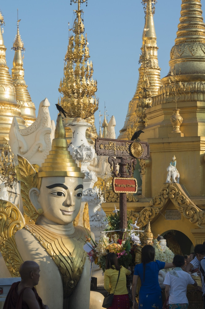 在缅甸东南部的仰光市的ShwedagonPaya塔的建筑图片