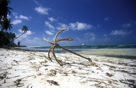 在印度洋的马尔代夫群岛屿和环礁海景沙滩图片