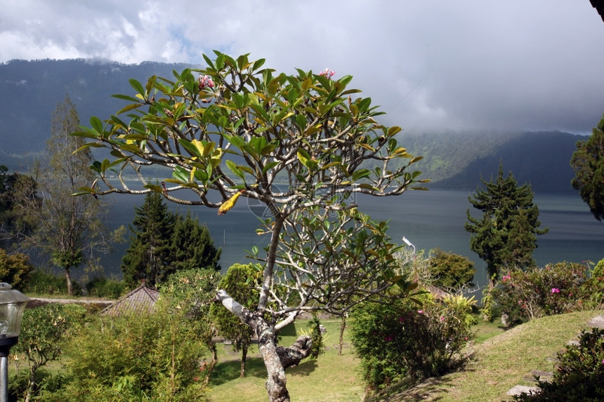 巴厘岛的布拉坦湖位于东南部印度的地安尼西亚图片