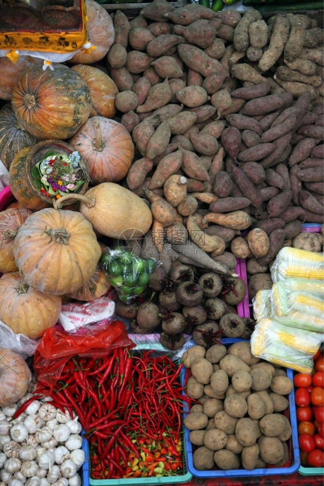 巴厘岛的登萨市PasarBadung市场位于东南部邦的印地安人图片