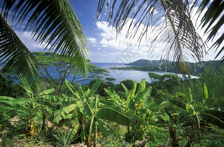 a海岸滩如果是印地安海中环礁群岛的马赫背景图片