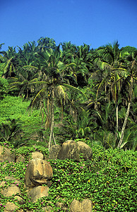 a海岸滩如果是印地安海中环礁群岛的马赫背景图片