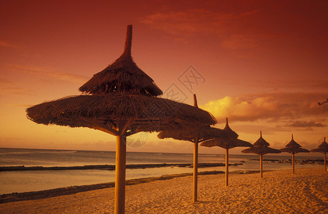 毛里求斯岛海滩上的日落在印地安海中背景