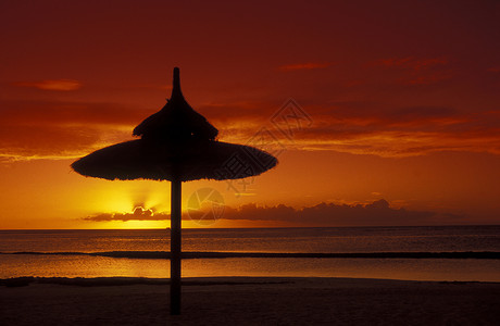 毛里求斯岛海滩上的日落在印地安海中图片
