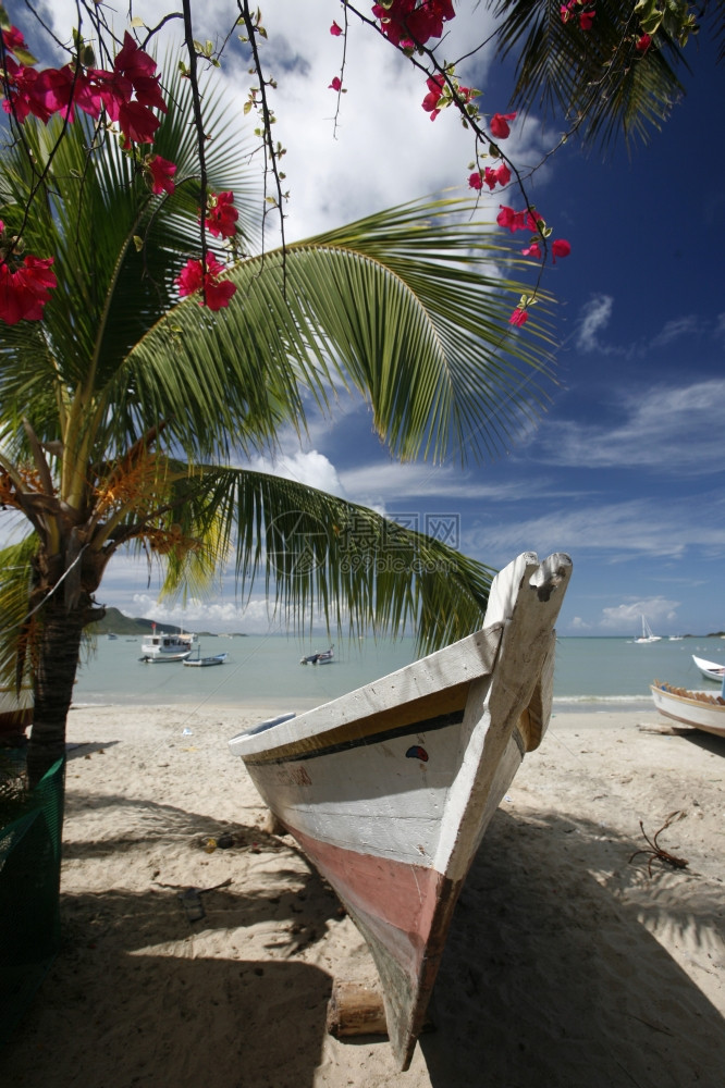 委内瑞拉海洋中IslaMargarita岛的Juangriego镇海滩的渔船图片