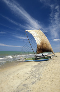 在斯里兰卡西海岸Asien的Nagombo海岸的Dhoni渔船图片