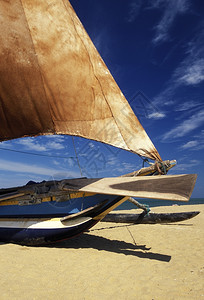 在斯里兰卡西海岸Asien的Nagombo海岸的Dhoni渔船背景图片