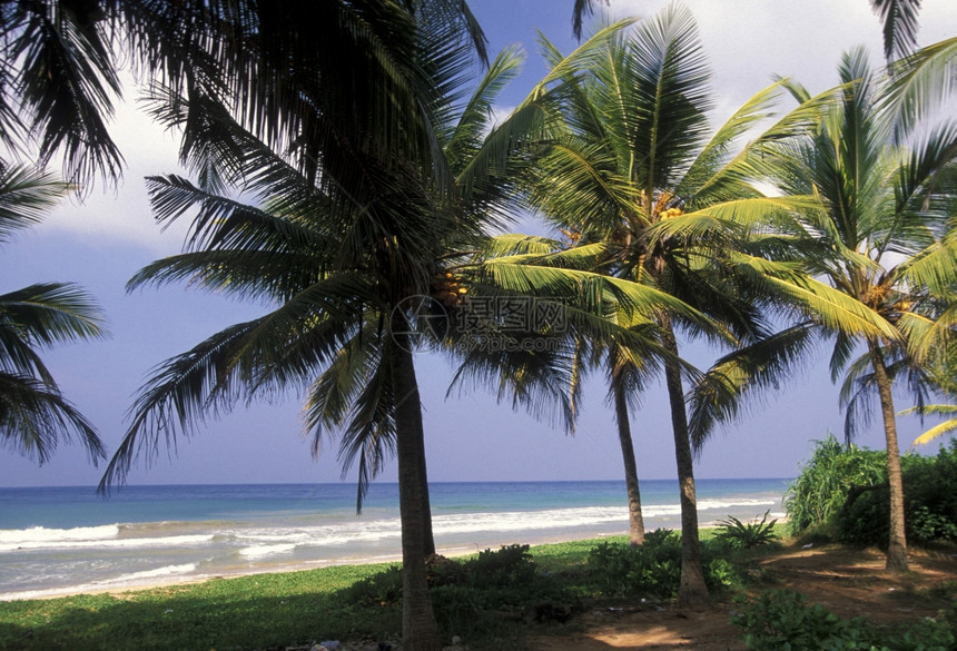 位于斯里兰卡西海岸的希卡杜瓦海滩斯里兰卡希卡杜瓦海滩图片